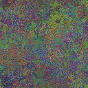 World at epoch 25000