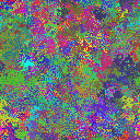 World at epoch 40000
