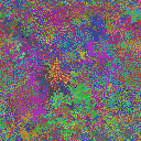World at epoch 40000