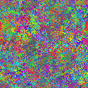 World at epoch 25000