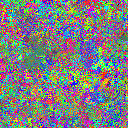 World at epoch 24000