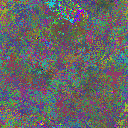 World at epoch 24000