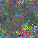 World at epoch 25000