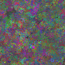 World at epoch 31000