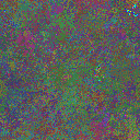 World at epoch 25000