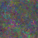 World at epoch 38000