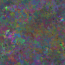 World at epoch 40000