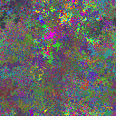 World at epoch 35000