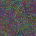 World at epoch 31000