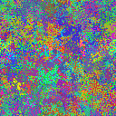 World at epoch 35000