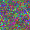 World at epoch 25000