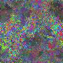 World at epoch 39000