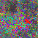 World at epoch 40000