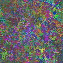 World at epoch 29000