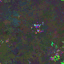 World at epoch 31000