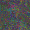 World at epoch 38000