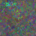 World at epoch 31000