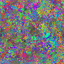 World at epoch 25000