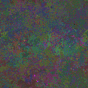 World at epoch 35000