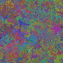 World at epoch 40000