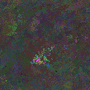 World at epoch 37000