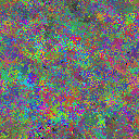 World at epoch 25000