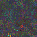 World at epoch 39000