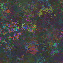 World at epoch 37000