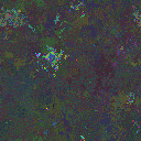 World at epoch 25000