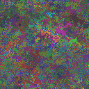 World at epoch 35000