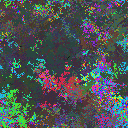 World at epoch 40000