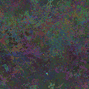 World at epoch 25000