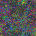 World at epoch 23000