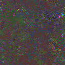 World at epoch 25000