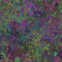 World at epoch 25000