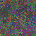 World at epoch 25000