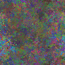 World at epoch 40000