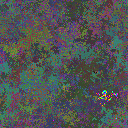 World at epoch 29000
