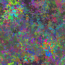 World at epoch 31000