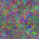 World at epoch 26000