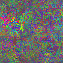 World at epoch 34000