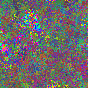World at epoch 35000
