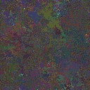 World at epoch 35000