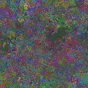 World at epoch 25000