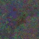 World at epoch 39000