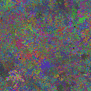 World at epoch 40000