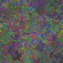 World at epoch 25000