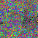 World at epoch 39000