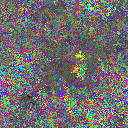 World at epoch 38000