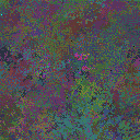 World at epoch 31000